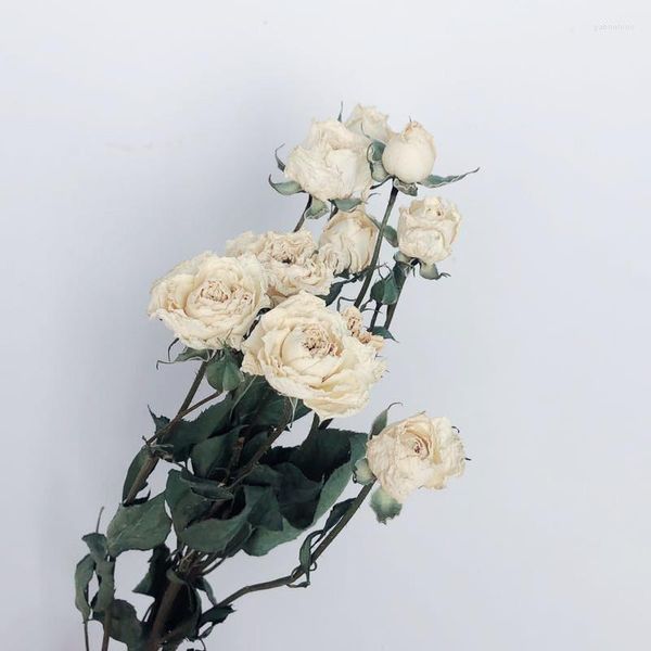 Fiori decorativi 20pcs Champagne Rose Mazzo di fiori da sposa Bolla romantica Piccolo bouquet secco Arredamento per la casa Decorare rosso