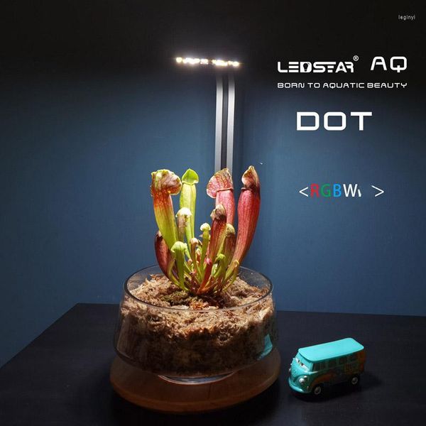 Accessori per pompe ad aria LEDSTAR AQ-DOT Micro Landscape Moss Light Desktop Plant Succulent Fill