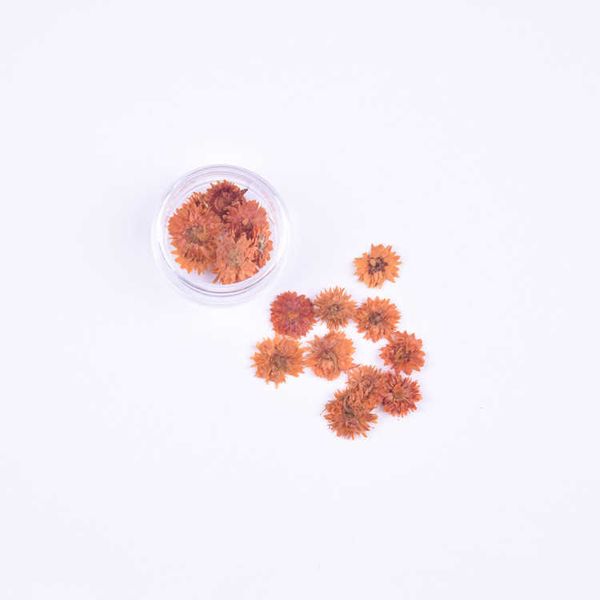 Сушеные цветы 20 шт./около 1 см природные прессованные лепестки мини цветок хризантемы DIY дизайн ногтей гель маникюр наклейки Флорес декор для лица