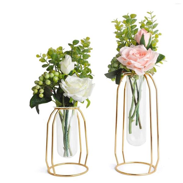 Vasen, geometrische Reagenzglasvase mit Metallrahmen, transparenter Glaspflanzer, Hydrokultur-Dekoration
