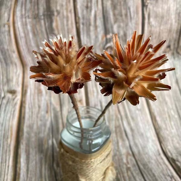 Ghirlande di fiori decorativi 4-6 cm testa / 2 pezzi secchi piume naturali crisantemo ramo di rose secche fai da te per la decorazione domestica bouquet da sposa