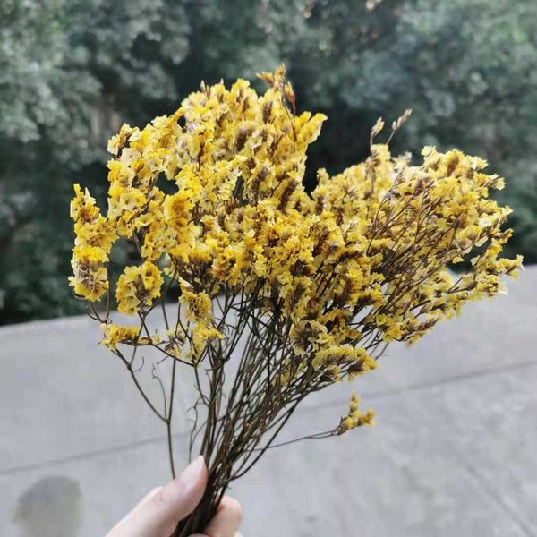 Fiori secchi 25 g/bouquet Fiori di cristallo naturali freschi conservati Fiore eterno per la decorazione della casa della festa nuziale Display degli accessori