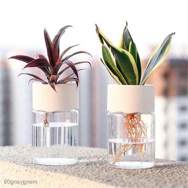 Vasos de plantas Vasos de plantas hidropônicos Transparente Pote de plástico para plantas Recipiente elegante Plantadores para decoração de mesa para casa Vaso de flores R230621