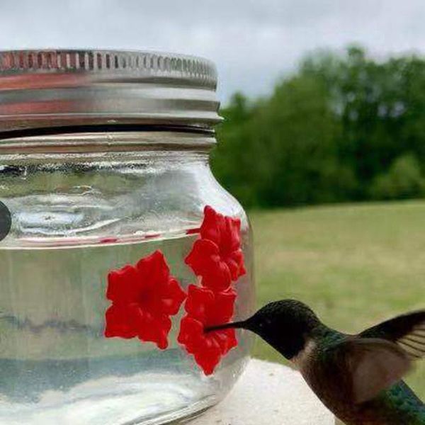 Alimentazione Mangiatoia per uccelli da giardino all'aperto appesa Mangiatoia per colibrì a forma di fiore Animali multifunzione Contenitore per l'alimentazione dell'acqua Forniture per animali domestici