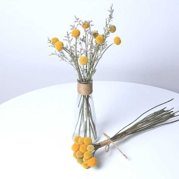 Set di fiori secchi con fiori conservati Craspedia Billy Balls Decorazione per matrimonio a secco naturale, decorazione per la casa, la festa di matrimonio