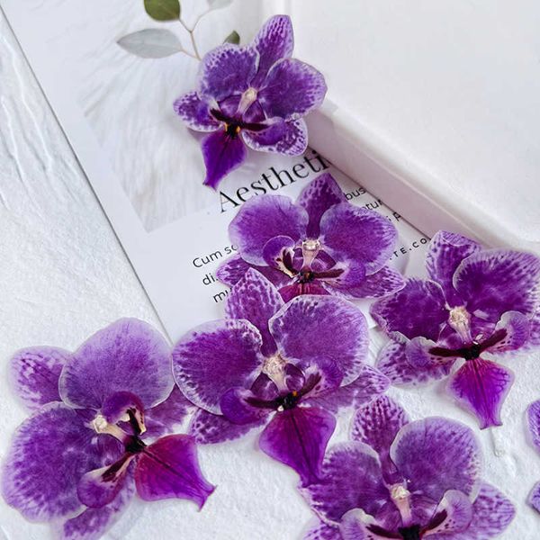 Kurutulmuş Çiçekler 3-6cm/4pcs Doğa Kelebek Preslenmiş Flowerpetals Gerçek Kuru Çiçek Diy Masa Lambası Çerçeve Damla Tutkal Bookmark Dekor Çıkartmalar