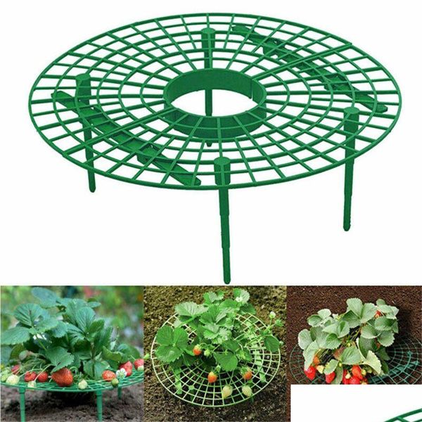 Altre forniture da giardino Stberry Stand Supporto per telaio Balcone Piantare Rack Supporto per frutta Pianta Fiore Rampicante Vite Pilastro Giardinaggio Xbj Dhdcq