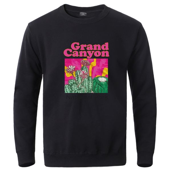 Pólos Masculinos Grand Canyon National Park Cactus Man Pullovers Trend Simple Outerwear Moda Agasalho Solto Moletons Masculinos de Qualidade de Rua 230629