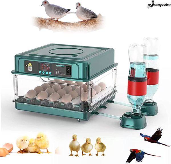 Altri articoli per animali domestici 9 15 24 30 Incubatrice per uova da cova Completamente automatica per pollo Oca Quaglia Attrezzatura per tornitura automatica Incubatoio Strumenti per pollame 230628