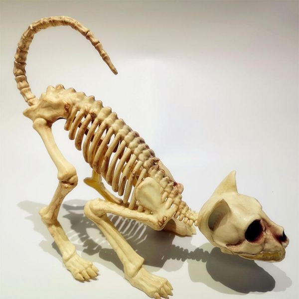 Objetos decorativos Estatuetas Halloween Scary Skeleton Decoration 1Pcs Crouching Cat Skeleton Cat Skull Model Creepy Animal Bones for VAMPIRE Party Trick 230629