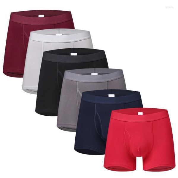 Mutande Taglie forti Boxer da uomo stile classico Boxer di marca intimo edizione lunga 95% cotone traspirante sotto l'usura