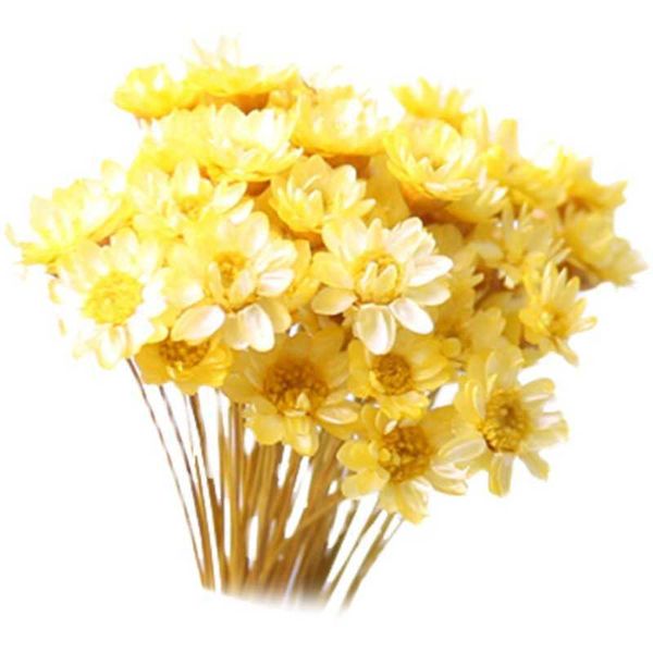 Getrocknete Blumen, 30 Stück, brasilianische kleine Sternblume, Schleierkraut, Chrysantheme, Kunstdekoration, DIY-Hochzeitszubehör