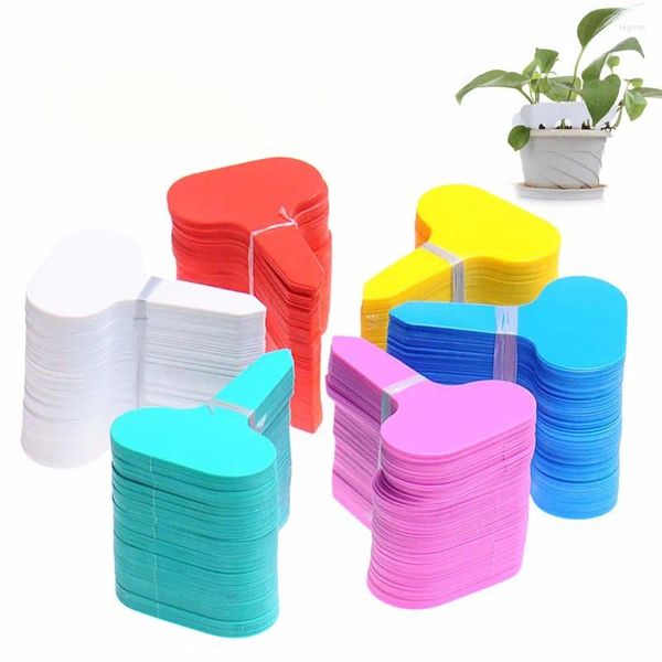 Fioriere 10/30 pezzi di plastica tipo T etichette da giardino ornamenti etichetta di fiori per piante vivaio marcatori di etichette spesse per la decorazione delle piante