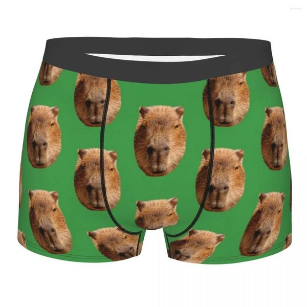 Underpants Capybara Face Kawaii Engraçado Feliz Homens Cueca Boxer Shorts Calcinhas Novidade Soft para Masculino S-XXL