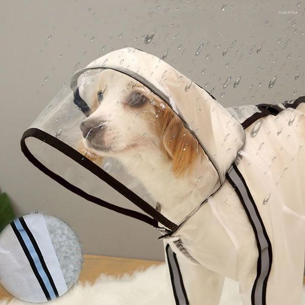 Mantello poncho trasparente per abbigliamento per cani, impermeabile, copertura totale, designer di vestiti per animali domestici Golden Retriever Chihuahua