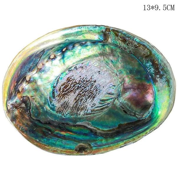 Portasapone 1214CM Conchiglie di abalone naturale lucido Conchiglia Paesaggio domestico Decorazione acquario Portasapone artigianale fatto a mano 231005