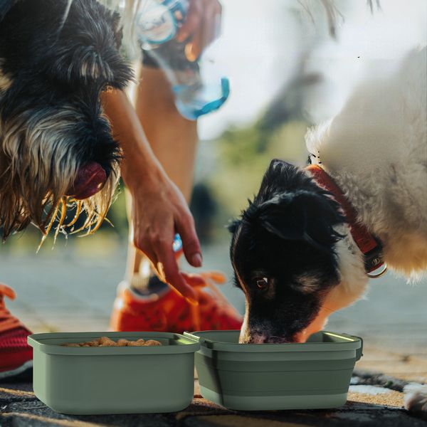 Köpek besleyicileri açık katlanır kase çift katmanlı içme ve yeme kasesi seyahat portatif havza evcil hayvan kaseleri