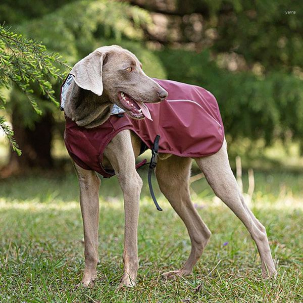 Vestuário para cães Capa de chuva para animais de estimação - Grande portátil universal com capuz e roupas reflexivas Suprimentos de viagem ao ar livre