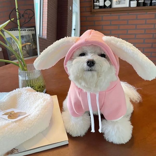 Cão vestuário outono coelho orelhas pullover hoodie inverno casaco quente rosa roupas cães jaqueta teddy bichon traje pet suprimentos acessórios 231009