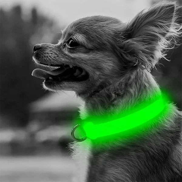 Collari per cani Guinzagli Collare LED regolabile Glowing Antilost Night Safety Pet Collana lampeggiante luminosa per cani di taglia piccola, media e grande Gatto 231009