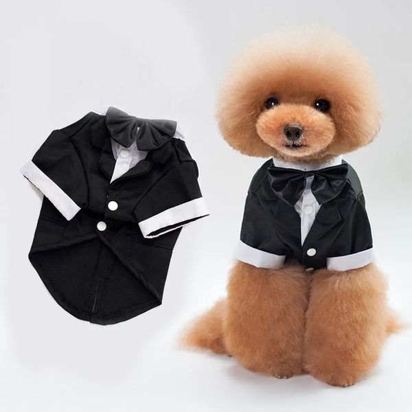Собачья одежда мужская одежда для мальчика для костюма
