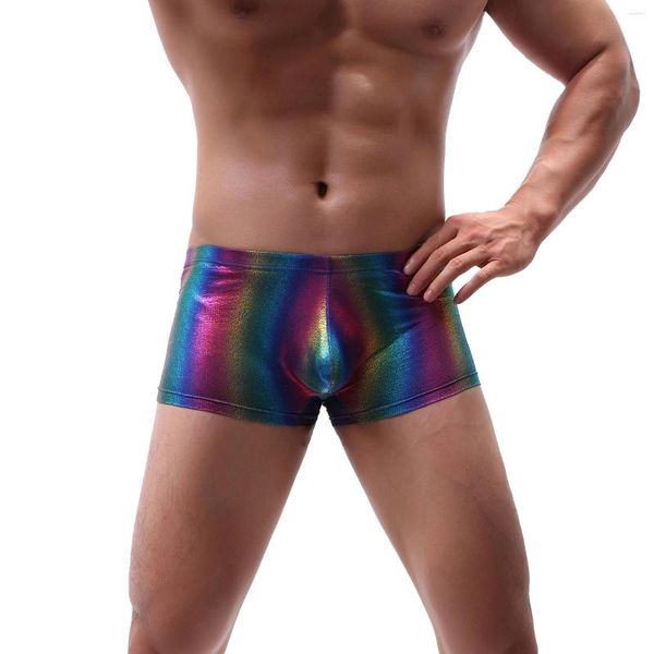 Underpants Mens Underwear Rainbow Boxer Briefs Nylon Casual Tamanho Grande Respirável Cintura Baixa Sexy para Homens