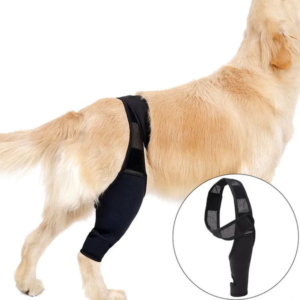 Abbigliamento per cani Ginocchiere per animali domestici per il recupero di lesioni articolari Protezione per le gambe Tutore per la coscia Avvolgimento Cintura di supporto regolabile Fissaggio postoperatorio 231010