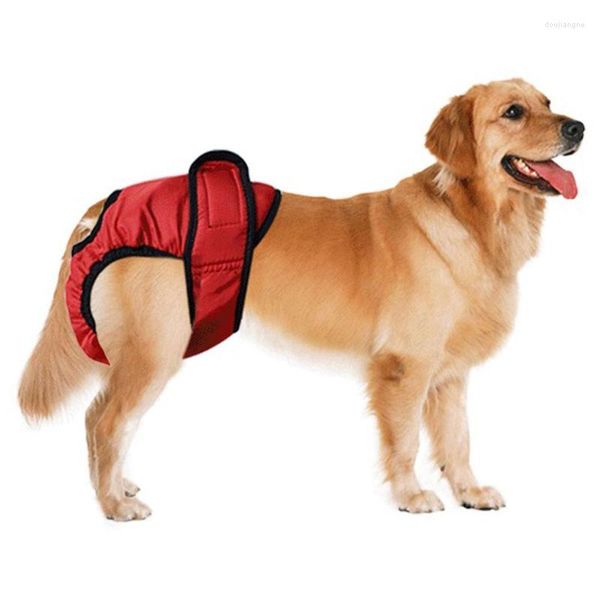 Cão vestuário animais de estimação calças fisiológicas fralda sanitária feminino macio menstruação shorts para produto para animais de estimação lavável gato calcinha XS-XXL