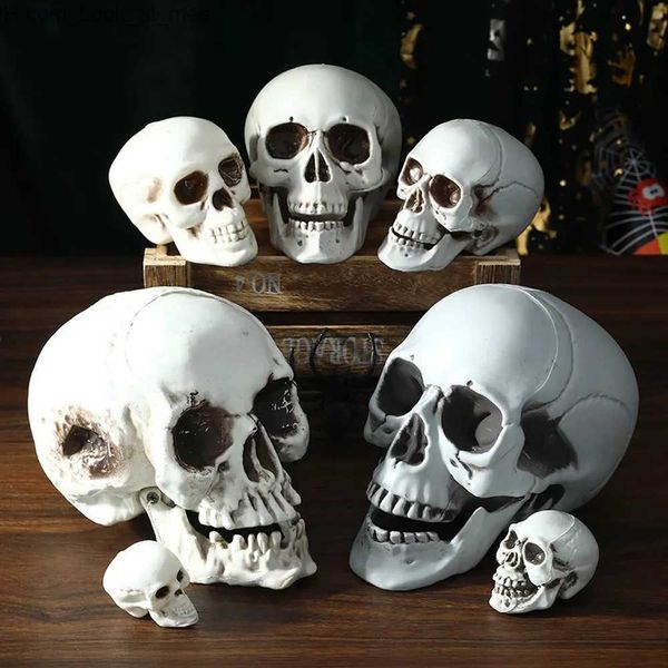 Outros suprimentos para festas de eventos Todos os tamanhos Halloween Skull Head Skeleton Decor Toy Coffee Bars Home Movie Ornament Party Haunted House Festival Toys Decors Q231010