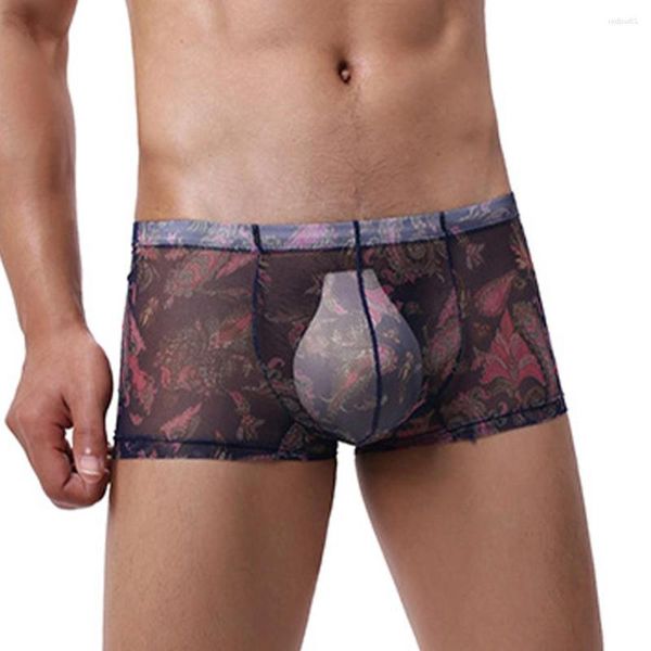 Cuecas ver através de homens boxer shorts sexy roupa interior cintura baixa malha u convexo escroto bolsa calcinha pura lingerie