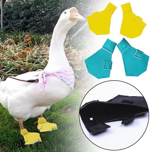 Pequenos suprimentos de animais 2 pcs à prova d 'água leve pet pato sapatos casuais andando botas calçado para patos gansos ao ar livre 231010