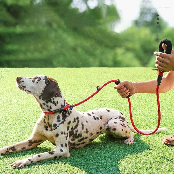 Collari per cani Catena P riflettente Guinzaglio grande Collare antiscivolo Guinzaglio da passeggio per animali domestici Antideflagrante Corda da arrampicata grande Comoda doppia maniglia