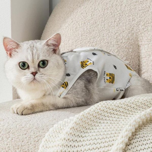 Costumi per gatti Abbigliamento colorato Tuta per sterilizzazione traspirante Abiti di recupero facili da indossare per gatti Forniture protettive per animali domestici regolabili