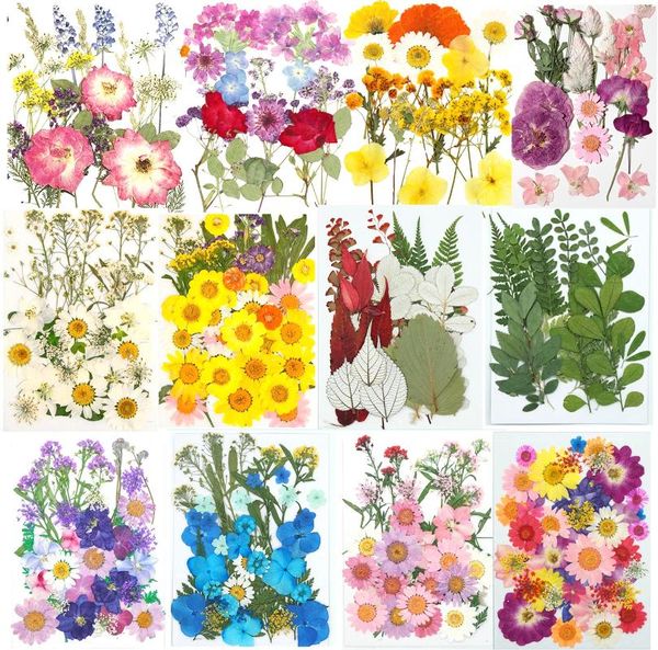 Dekorative Blumen aus gepresstem Harz für Formen, getrocknete Blumenblätter, natürliche Scrapbooking, DIY-Kerze, Schmuck, Basteln