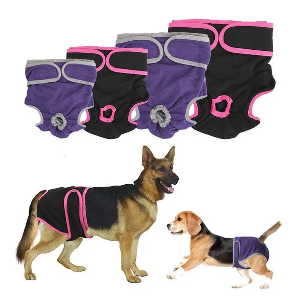 Abbigliamento per cani Pantaloncini femminili Prodotti per animali Pantaloni fisiologici Forniture per cani di piccola taglia media Pannolini per cuccioli Biancheria intima 231010