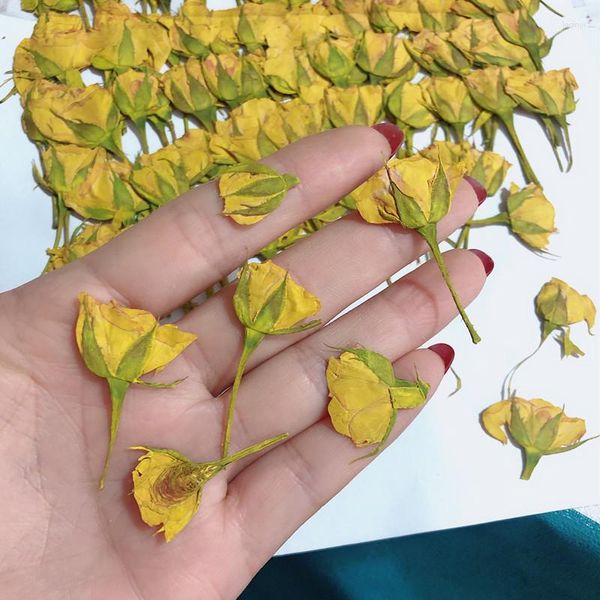 Dekoratif Çiçekler 120pcs Preslenmiş kurutulmuş tarafı gül çiçeği Herbaryum epoksi reçine mücevherleri yapmak, yer imi yüz makyaj telefon kasa tırnak sanat