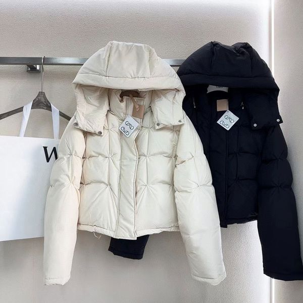 Giacca da uomo Donna Piumino con cappuccio caldo Parka Piumino femminile Lettera Stampa Abbigliamento Giacca a vento Cappotto invernale di marca per coppia