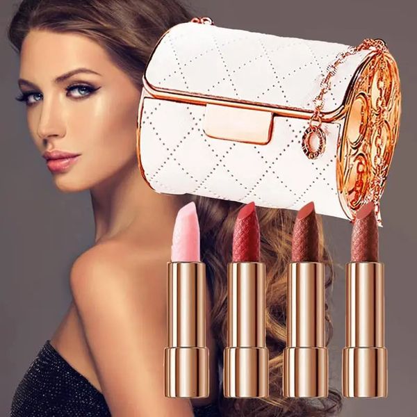 Batom Matte Batom Conjunto À Prova D 'Água Matte Nude Batom Pigmento Vermelho Longa Duração Lip Gloss Com Chaming Chain Bolsa Mulheres Maquiagem 231011