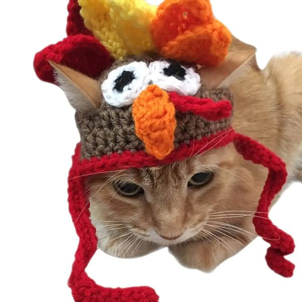 Trajes de gato bonito gato traje pet turquia chapéus vestuário gatos pequenos cães personalizados ornamentos feitos à mão crochê pet filhote de cachorro chapéu de inverno presente de festa 231011