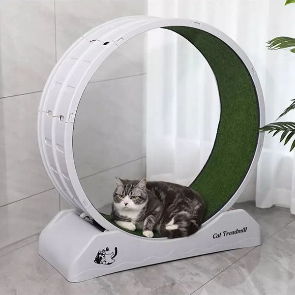 Giocattoli per gatti Giocattolo per gatti Tapis roulant Aiuta il comportamento di addestramento Gioca in palestra Gattino Arrampicata Gioco Stand Piattaforma per graffiare gatti Prodotti interattivi per animali domestici 231011