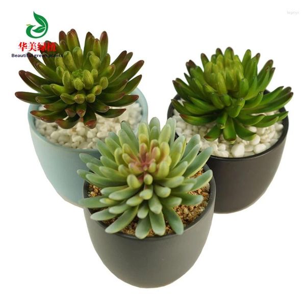 Flores decorativas simuladas plantas suculentas bonsai crassula obliqua sem vaso flor artificial natural cacto devilstongue