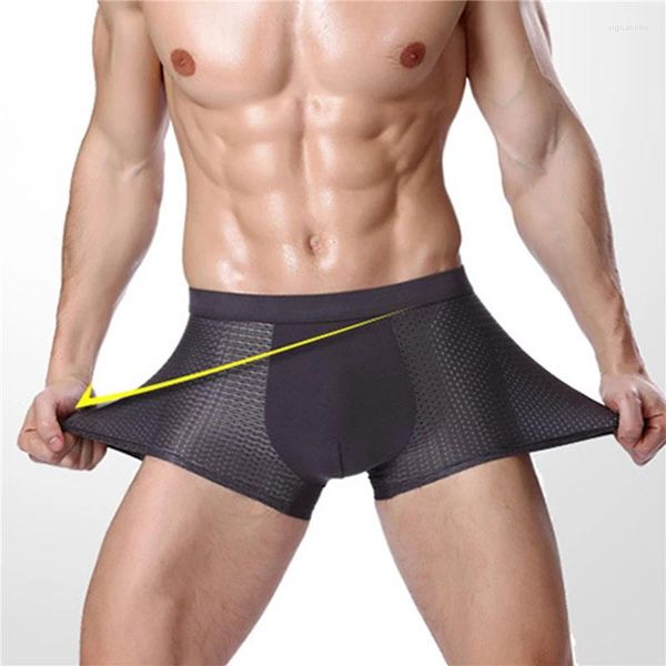 Unterhosen Seide Hohl Herren Boxer Unterwäsche Männer Boxer Ropa Interio Mann Penis Cueca Masculina Größe L-4XL