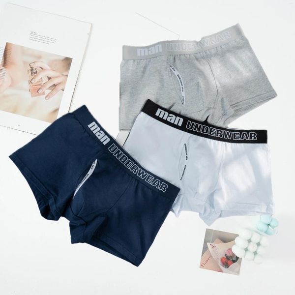 Cuecas boxer homens roupa interior de algodão masculino puro sexy calcinha homem de alta qualidade moda letras boxers shorts