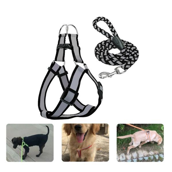 Großes reflektierendes Halsband für kleine Hunde, Geschirr, Leine, Harnais Pour Chien Pettorina, Nylon, Pitbull, Haustier, Katze, Welpen, Zubehör, Lieferung in Top-Qualität