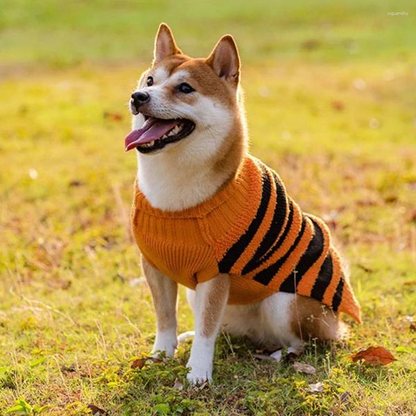 Abbigliamento per cani Abbigliamento per Halloween per animali domestici Maglione casual caldo per cani di taglia piccola, media e grande Costume Teddy Puppy Decorazioni autunnali Suppiles