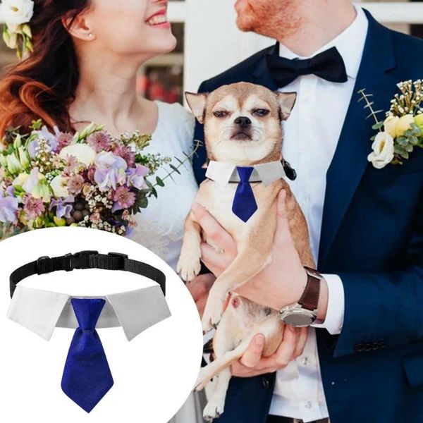 Abbigliamento per cani Collare per animali domestici Risvolto con anello a D Fibbia regolabile Forniture per ornamenti per cravatte cosplay in poliestere