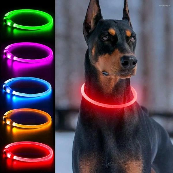 Coleiras para cães Coleira iluminada LED USB recarregável segura para andar à noite luminosa no escuro acessórios