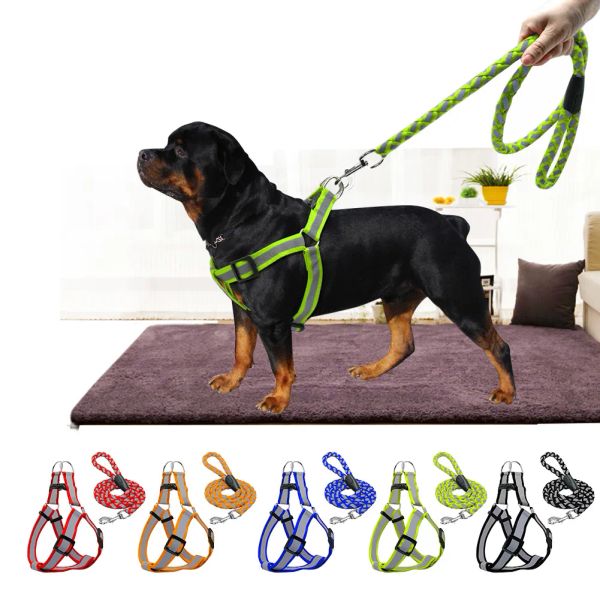 Großes reflektierendes Halsband für kleine Hunde, Geschirr, Leine, Harnais Pour Chien Pettorina, Nylon, Pitbull, Haustier, Katze, Welpen, Zubehör, Zubehör