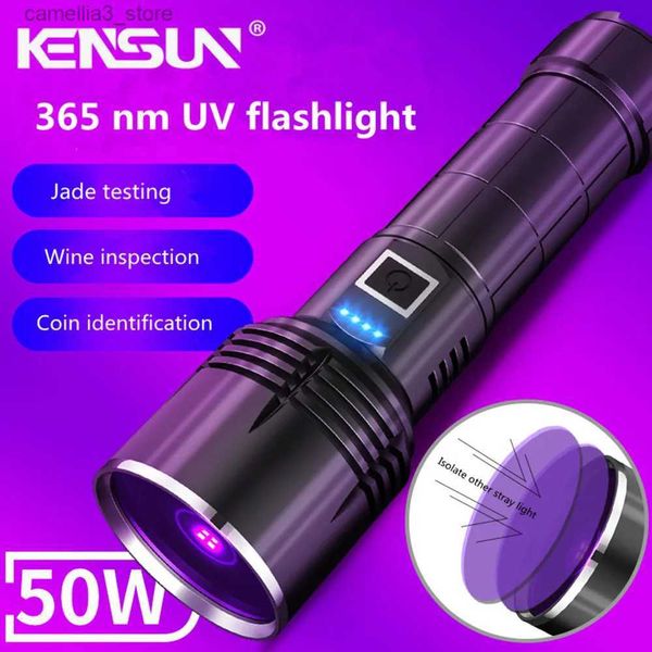 Taschenlampen, 365 nm, UV-Taschenlampe, fluoreszierende Antigen-Reagenz-Erkennungslampe, UV-schwarzer Spiegel, Woodruff, spezielle Identifikation, Q231013