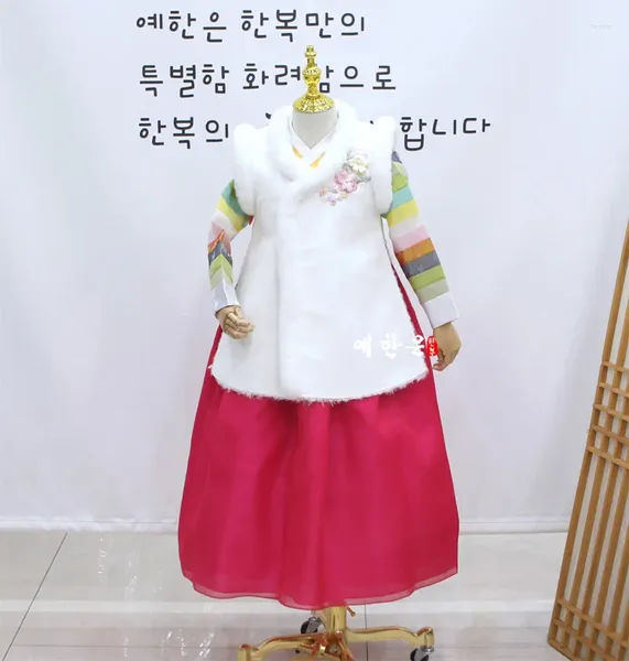 Abbigliamento etnico Gilet Hanbok Uno stile invernale per ragazze importato dalla Corea del Sud Abiti lunghi per spettacoli e recitazione